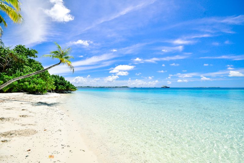 Tropical Beach Boat